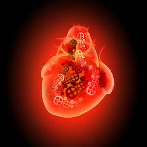 人类的心脏机制的人类心脏图像健康医学高清图片