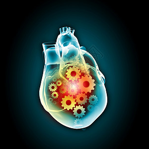 人类的心脏人类心脏与齿轮机构黑色背景下图片