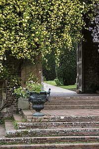 英国乡村加伦景观形象,挂花复古台阶,种植骨灰盒背景