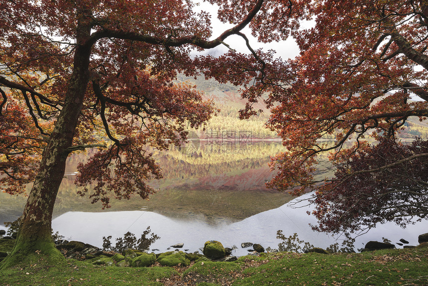 令人惊叹的秋季景观形象的湖伯特米尔湖英格兰湖区图片