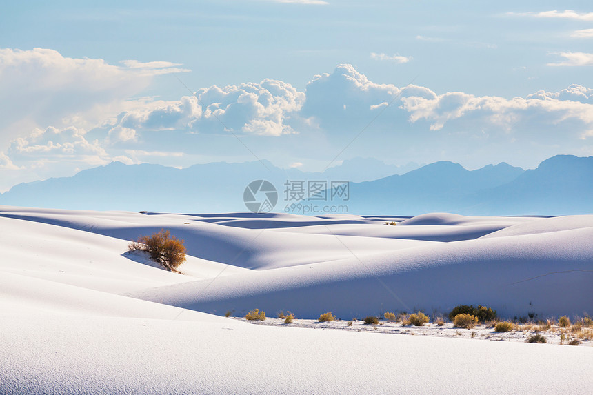 寻常的白色沙丘白沙纪念碑,新墨西哥,美国图片