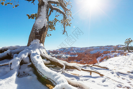 布莱斯峡谷冬季雪背景图片