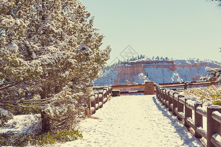 布莱斯峡谷冬季雪图片