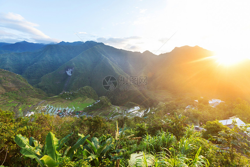 菲律宾美丽的绿色水稻梯田吕宋岛的水稻种植图片