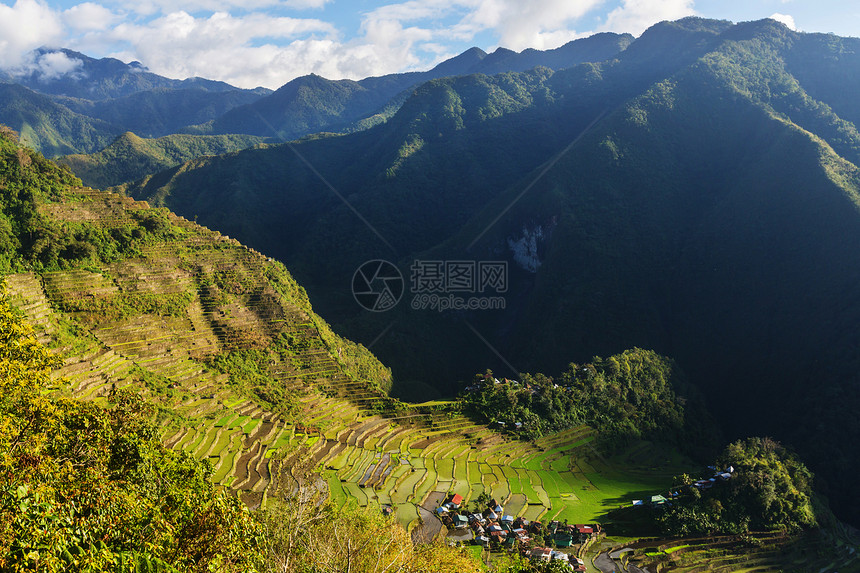 菲律宾美丽的绿色水稻梯田吕宋岛的水稻种植图片