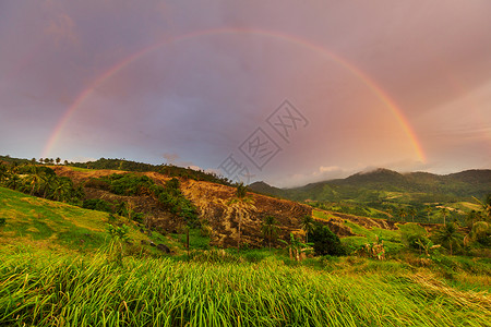 菲律宾巴拉望岛的乡村热带景观图片