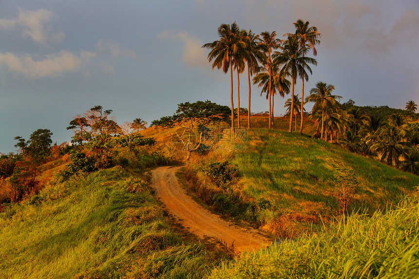 菲律宾巴拉望岛的乡村热带景观图片