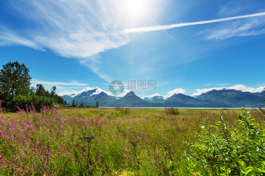 夏天阿拉斯加风景如画的山脉积雪覆盖的地块,冰川岩石峰图片