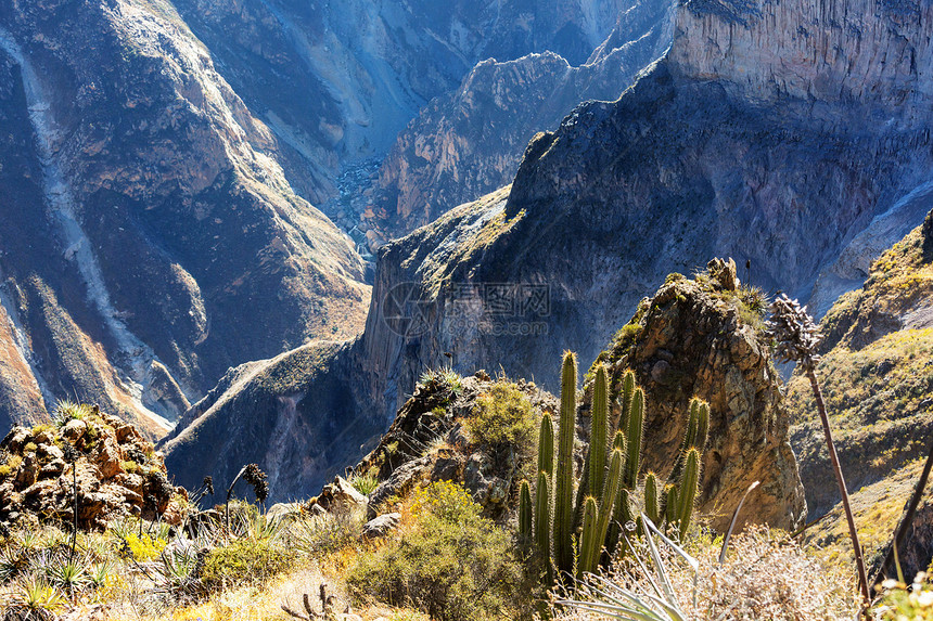 南美洲秘鲁的峡谷科尔卡图片