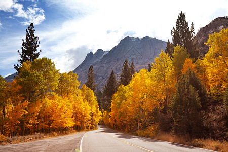 令人愉快的乡村内华达山脉地区阳光明媚的早晨,乡村道路上五彩缤纷的秋天景象背景