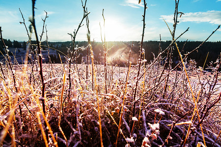 冰冻的深秋草地冬天的背景图片