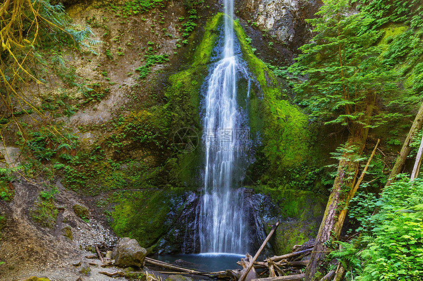 加大温哥华岛美丽的瀑布图片