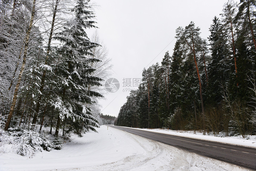 白雪覆盖的森林道路,冬季景观图片