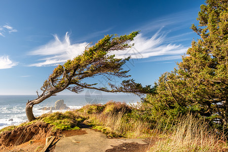 美国太平洋海岸景观,俄勒冈州图片