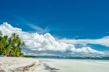 锡基霍尔岛阿洛纳热带海滩与棕榈树Panglao,菲律宾背景