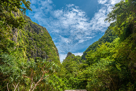 泰国菲菲莱岛美丽的热带自然图片