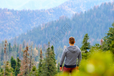 游客红杉公园徒步旅行,看山景加州,美国图片