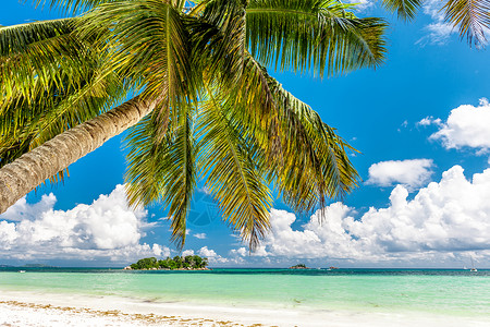 塞舌尔美丽的热带岛屿高清图片