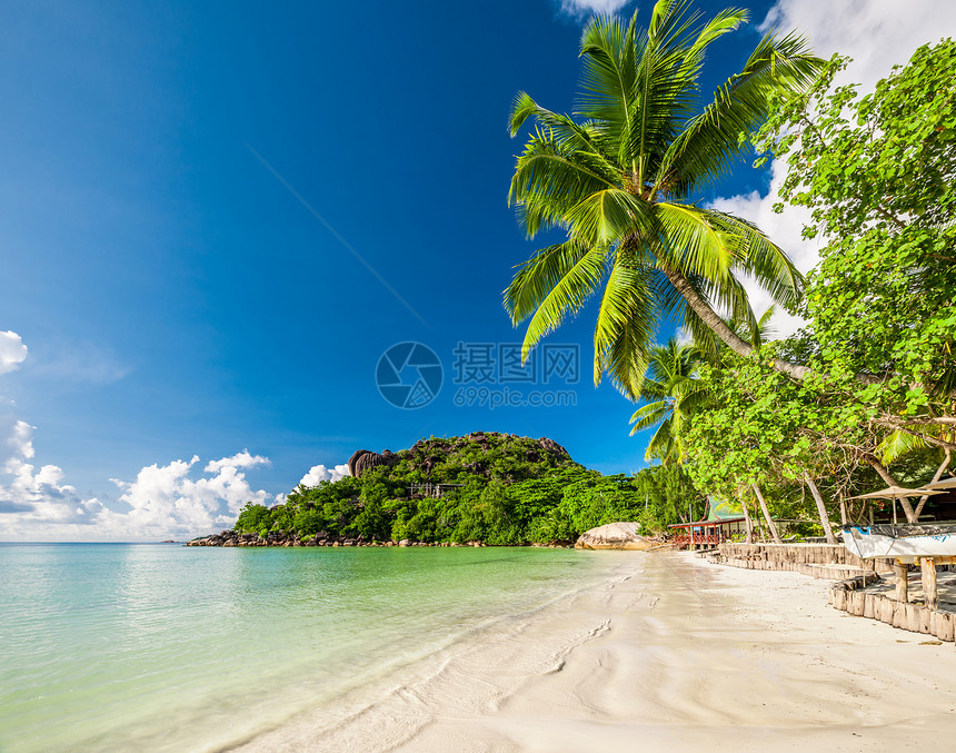 美丽的海滩与棕榈树塞舌尔,普拉斯林,科特Do图片