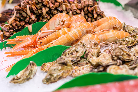 海鲜市场上新鲜的龙须菜牡蛎背景