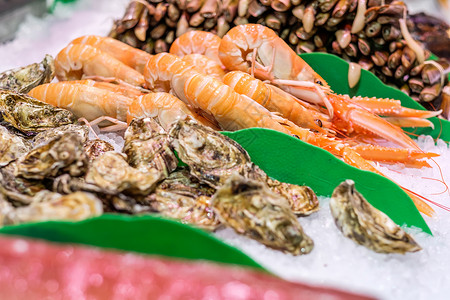 兰古斯汀海鲜市场上新鲜的龙须菜牡蛎背景