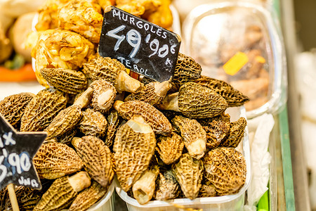 西弗里斯兰市场莫雷尔羊肚菌蘑菇巴塞罗那市场,加泰罗尼亚,西牙背景
