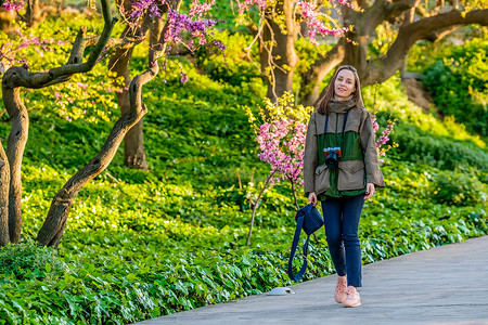 春日,山中桃花盛开女人沿着公园小径走巴塞罗那,加泰罗尼亚图片