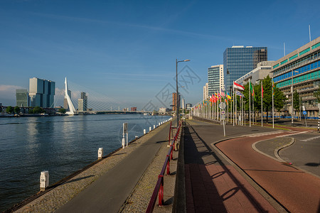 鹿特丹城市景观天际线与伊拉斯谟桥尼乌韦马斯莱茵河河流前荷兰荷兰南部背景