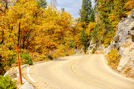 红杉公园秋季空公路加州,美国图片