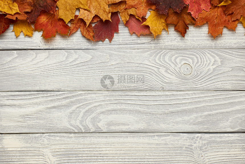 纹理复古乡村木背景与秋天叶子图片