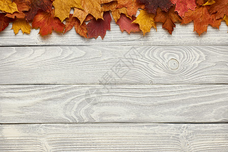 纹理复古乡村木背景与秋天叶子背景图片