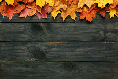 纹理复古乡村木背景与秋天叶子图片
