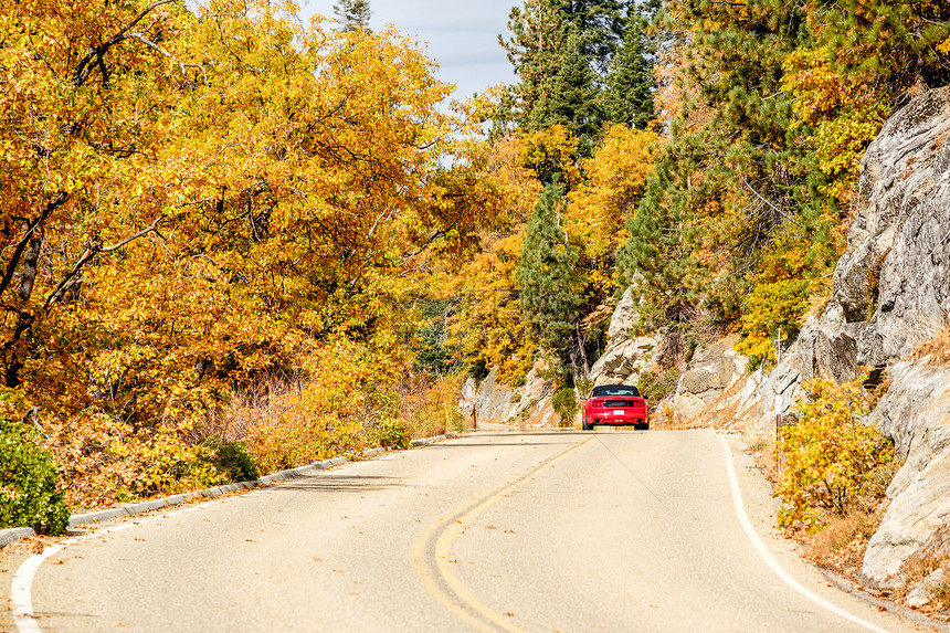 秋季公路上的红色敞篷跑车,红杉公园加州,美国图片