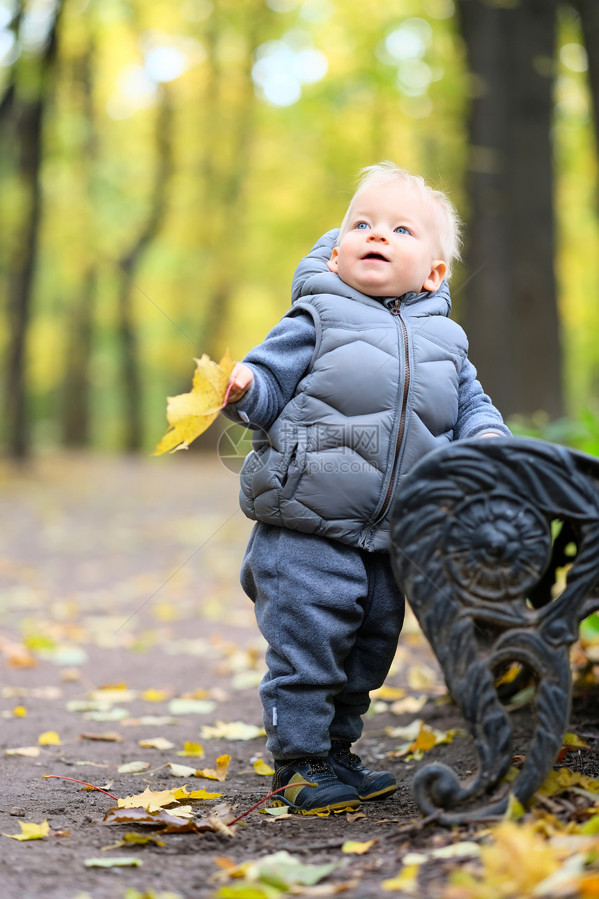 户外穿着温暖背心夹克的蹒跚学步的孩子的肖像岁的小男孩,秋天公园里枫叶图片