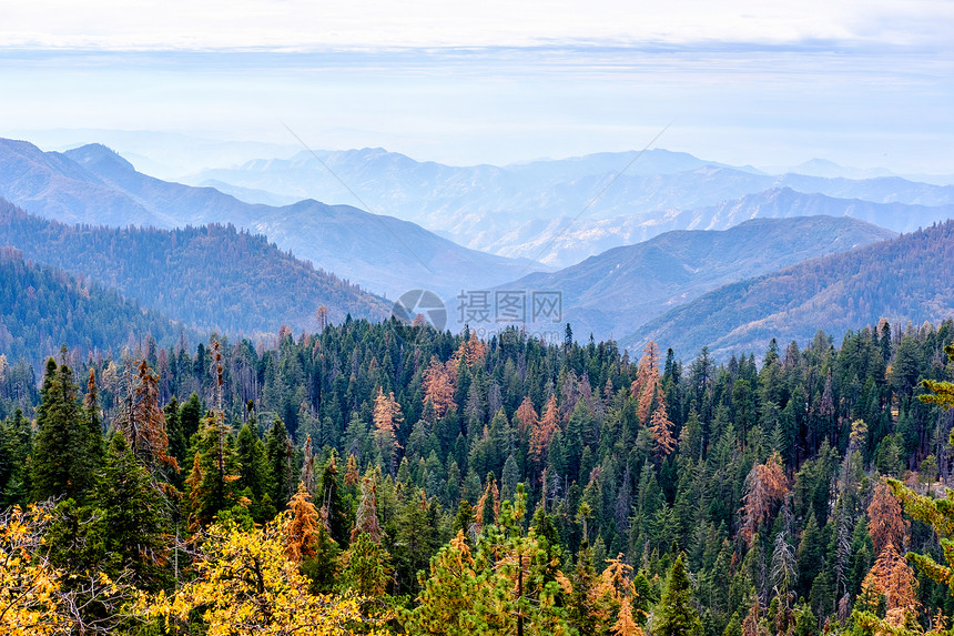 红杉公园秋季山体景观加州,美国图片
