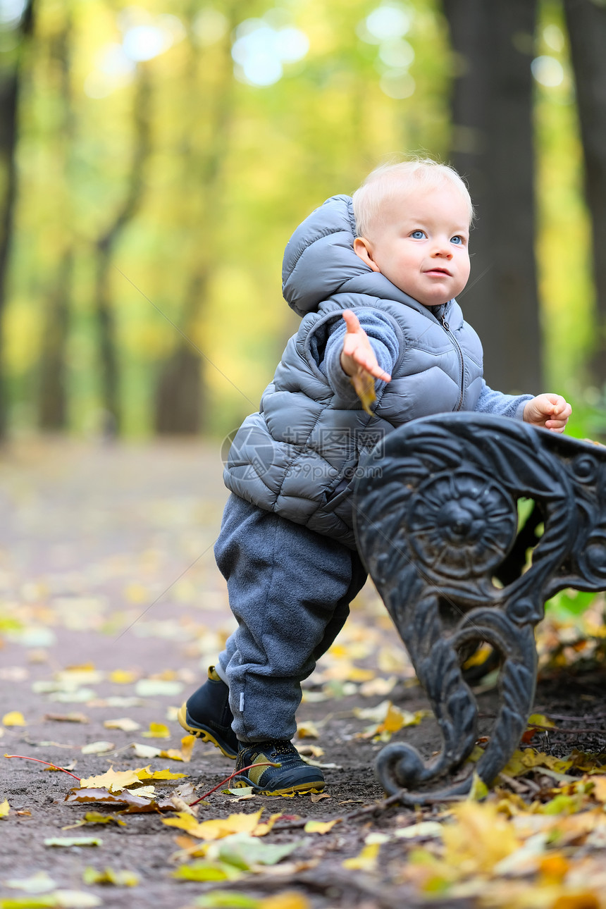 户外穿着温暖背心夹克的蹒跚学步的孩子的肖像秋天公园的岁男孩图片