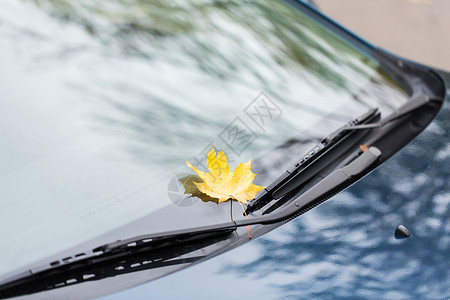 季节运输汽车雨刷与秋季枫叶挡风璃用秋天的枫叶汽车雨刷背景图片