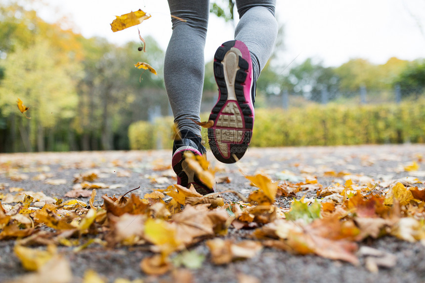 健身,运动,人,穿健康的生活方式密切轻妇女秋季公园跑步图片