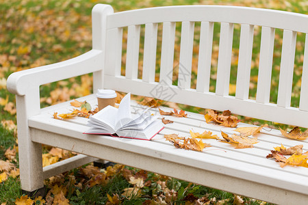 季节,教育文学开放的书咖啡杯长凳上的秋季公园图片