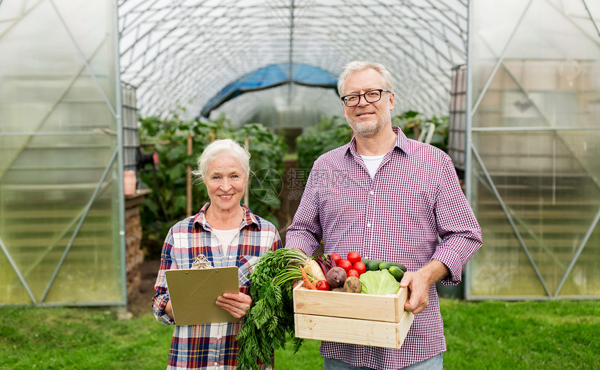 农业,园艺,收获人的资深夫妇与盒蔬菜剪贴板农场温室图片
