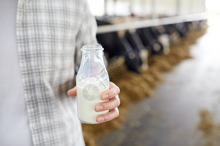 农业农业人民畜牧业奶牛场的牛舍用奶瓶喂养轻人农民图片