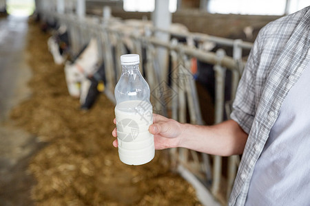 农业农业人民畜牧业奶牛场的牛舍用奶瓶喂养轻人农民图片