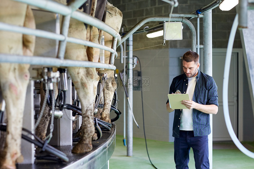 农业,人,挤奶畜牧业的轻人农民与剪贴板奶牛客厅系统奶牛场图片