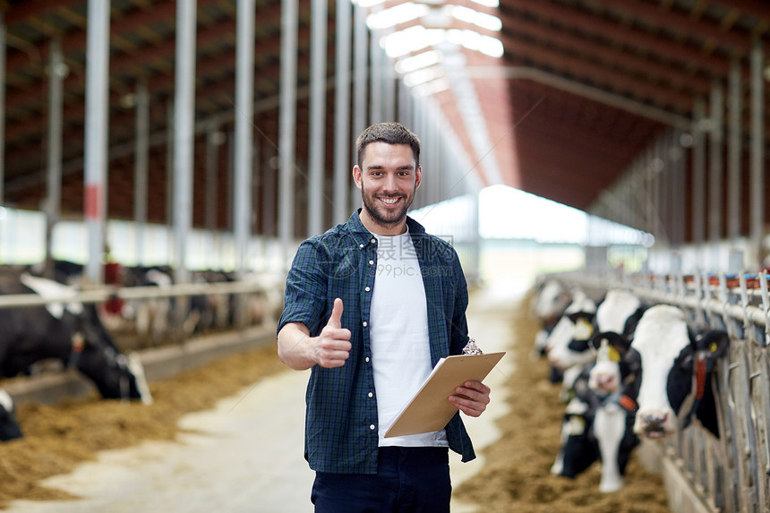 农业,人畜牧业的快乐的微笑轻人农民与剪贴板奶牛奶牛场的牛舍大拇指举手标志图片