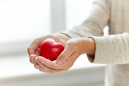 心形红心情人节,爱,慈善,捐赠人的亲密的老人与红心手背景