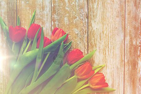 园艺,花卉,广告假日红色郁金香木制背景图片
