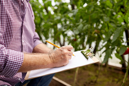农业,园艺,农业人的高级男子写作剪贴板农场温室老人写信给农场温室的剪贴板图片