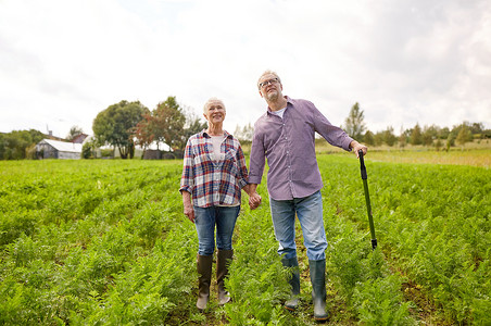 农业,园艺,农业人的快乐的老夫妇夏季农场夏天农场快乐的老夫妇图片