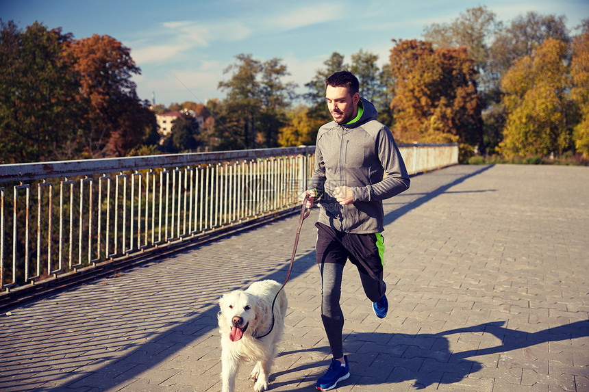 健身,运动,人,宠物慢跑快乐的人与拉布拉多猎犬户外跑步带着拉布拉多狗户外跑步的快乐男人图片