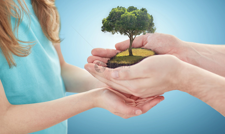 地球日,环境,人,慈善家庭的亲密的父亲女孩的手,抱着绿色的橡树蓝色的背景用橡树紧紧地握住父亲女孩的手图片